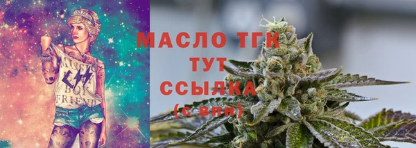 дмт Гусев