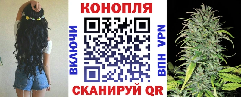 Каннабис конопля  купить наркоту  Миллерово 